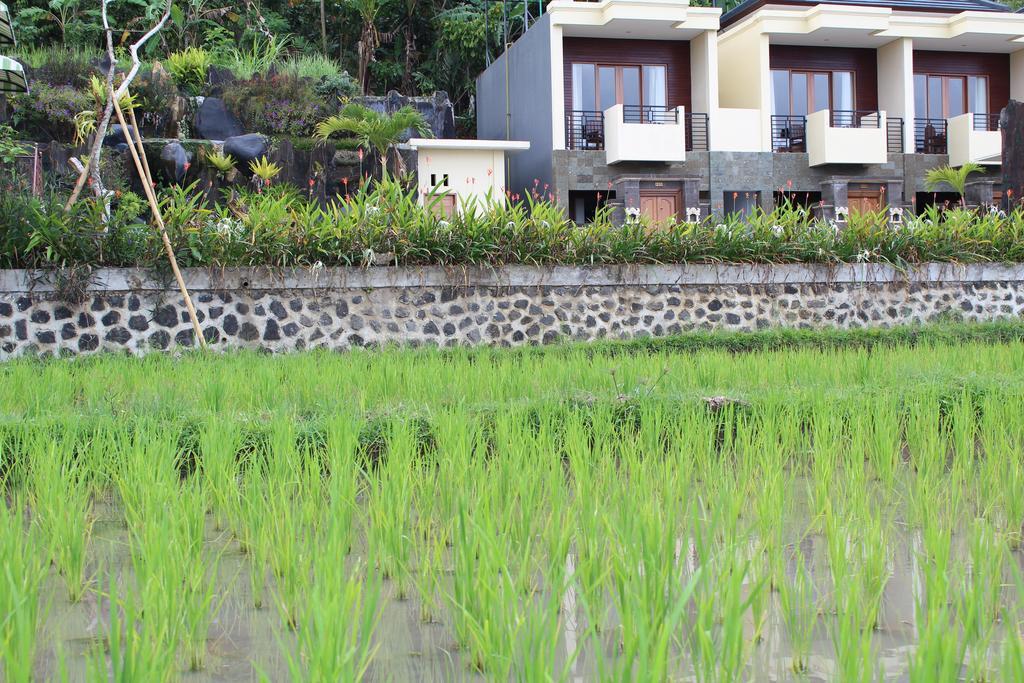 Batukaru Hotel Bali Esterno foto