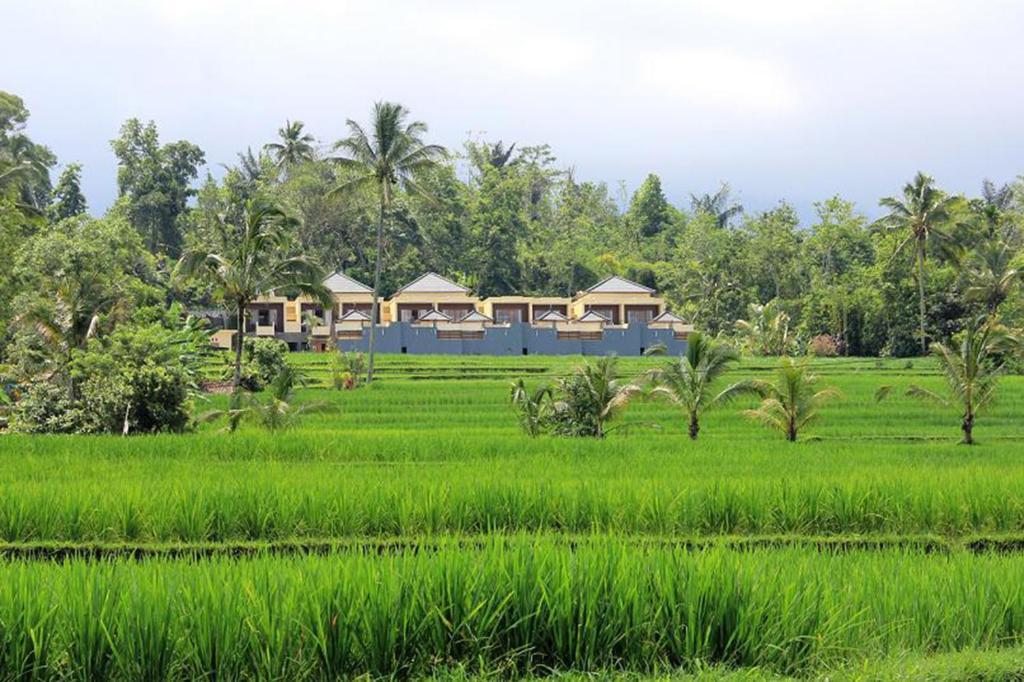 Batukaru Hotel Bali Esterno foto